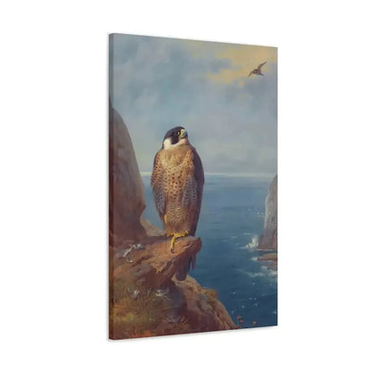 Archibald Thorburn (1860-1935) A Peregrine Falcon Perched on a Sea Cliff - Watercolour with bodycolour o - Canvas Wall Art - The Sticker Space