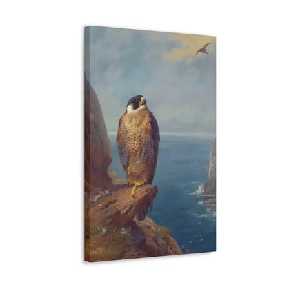 Archibald Thorburn (1860-1935) A Peregrine Falcon Perched on a Sea Cliff - Watercolour with bodycolour o - Canvas Wall Art - The Sticker Space