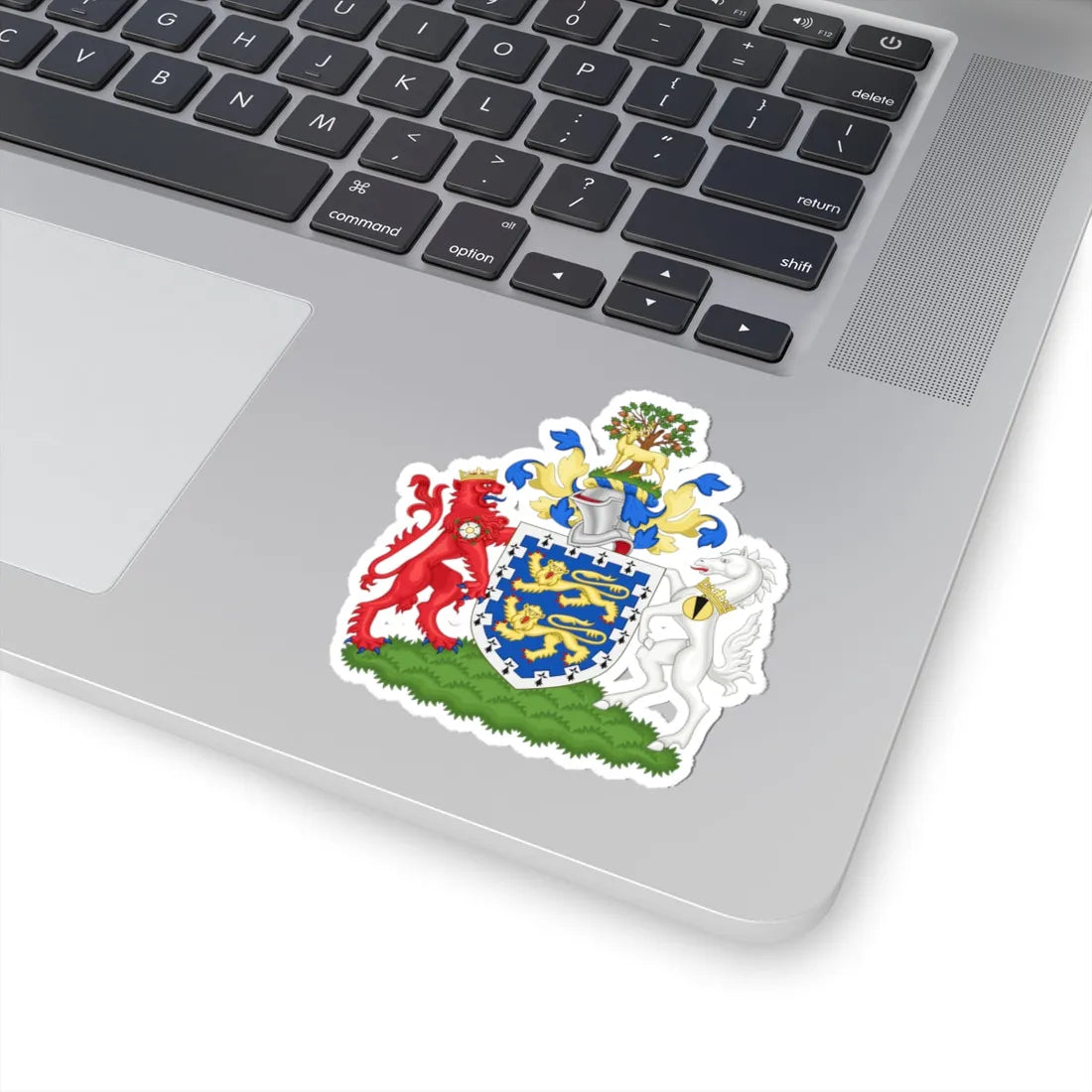 Arms of Berkshire County Council 1961-1974 (England) (Coat of Arms) STICKER Vinyl Kiss-Cut Decal - The Sticker Space