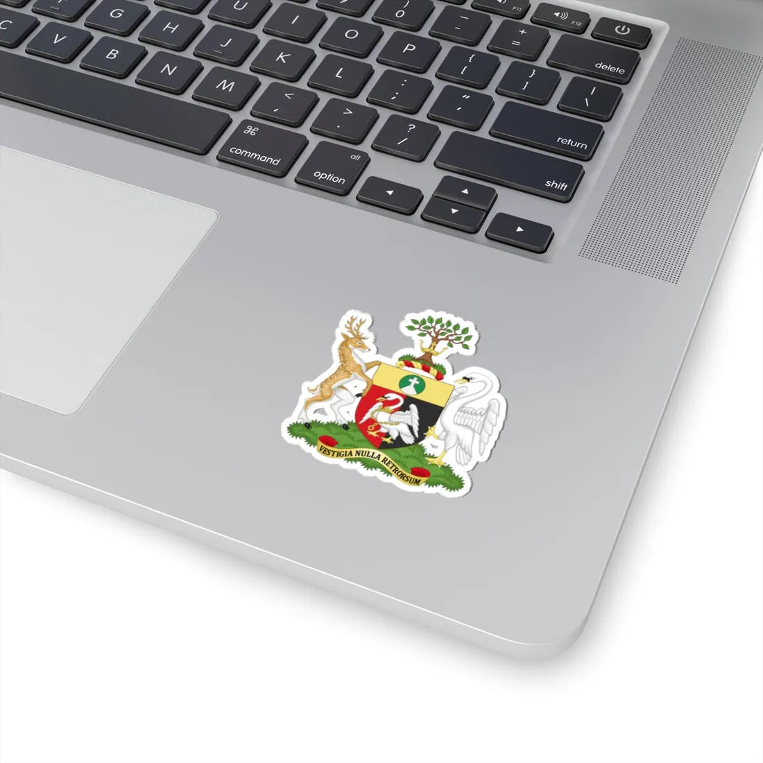Arms of Buckinghamshire County Council (England) (Coat of Arms) STICKER Vinyl Kiss-Cut Decal - The Sticker Space