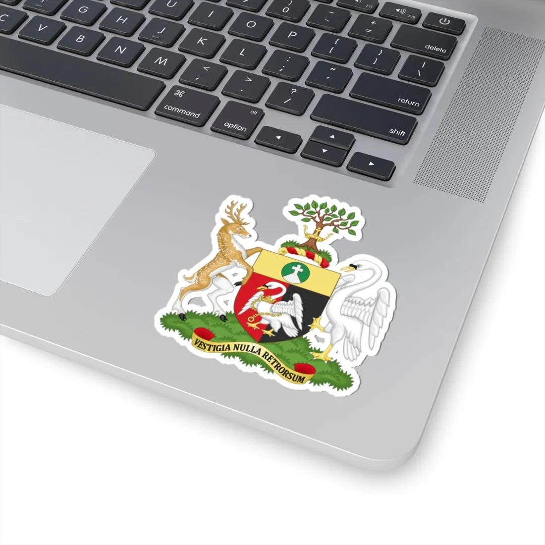 Arms of Buckinghamshire County Council (England) (Coat of Arms) STICKER Vinyl Kiss-Cut Decal - The Sticker Space