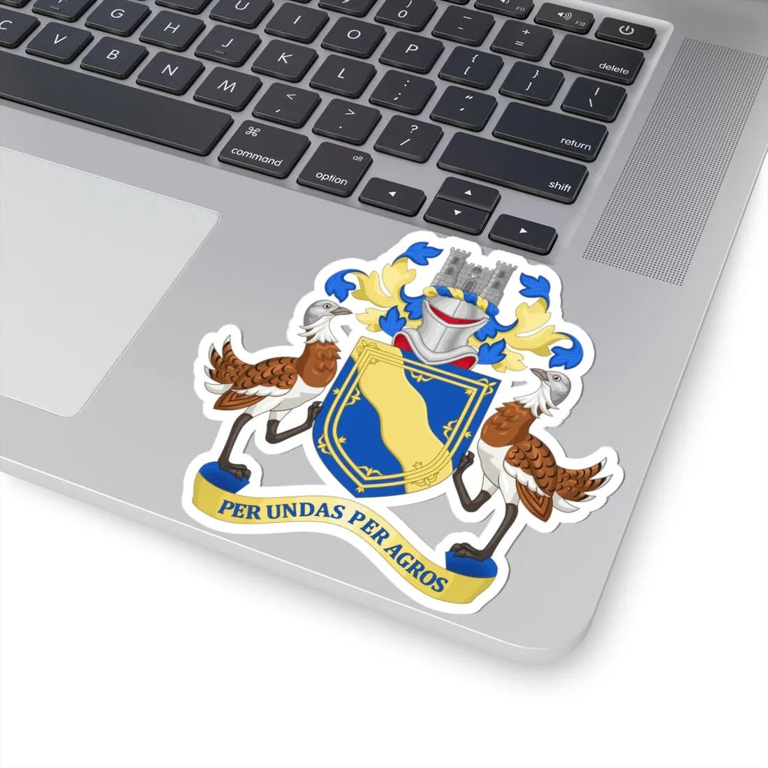 Arms of Cambridgeshire County Council 1914-1965 (England) (Coat of Arms) STICKER Vinyl Kiss-Cut Decal - The Sticker Space