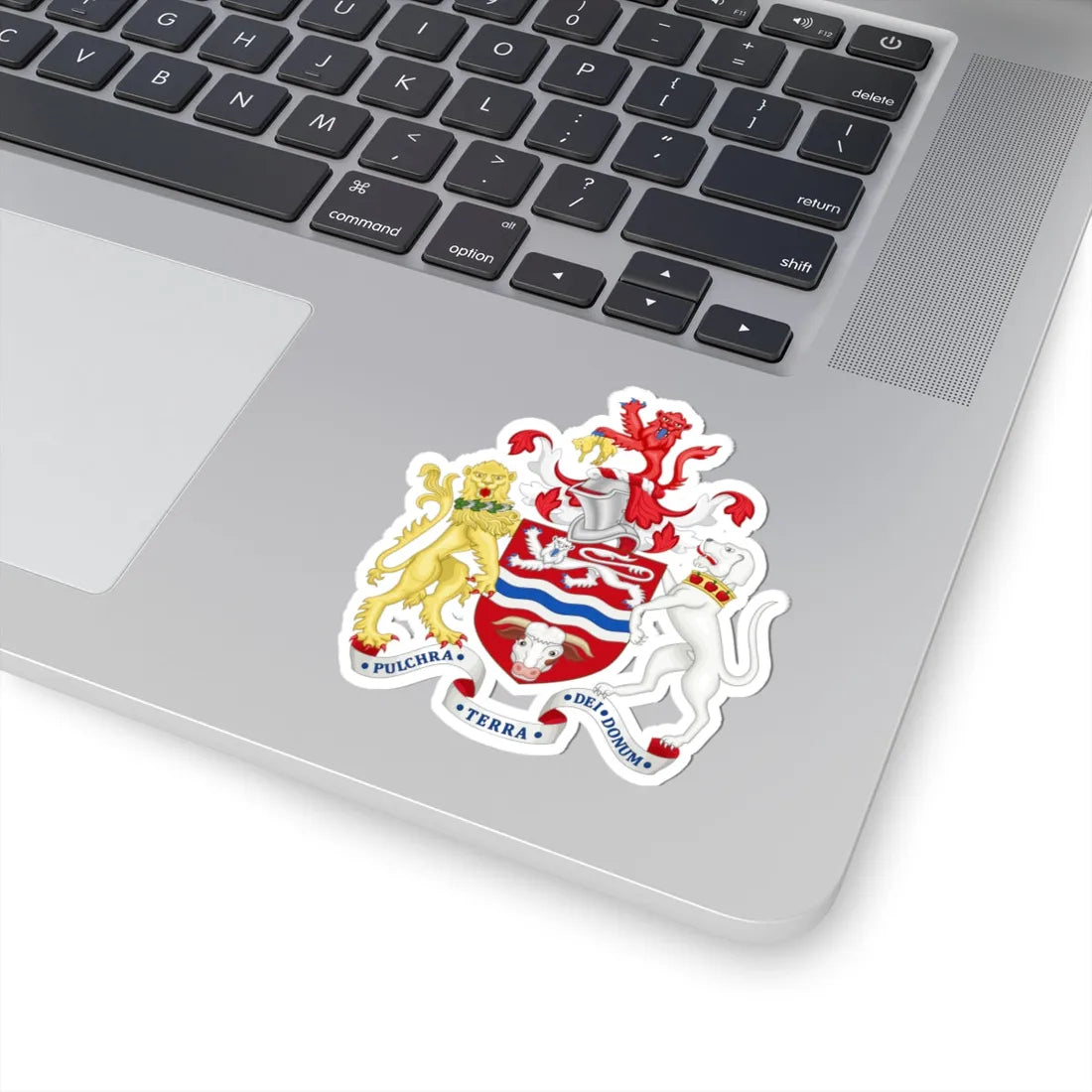 Arms of Herefordshire County Council (England) (Coat of Arms) STICKER Vinyl Kiss-Cut Decal - The Sticker Space