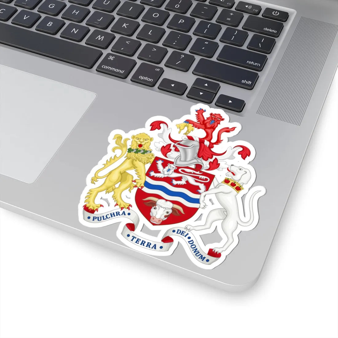 Arms of Herefordshire County Council (England) (Coat of Arms) STICKER Vinyl Kiss-Cut Decal - The Sticker Space
