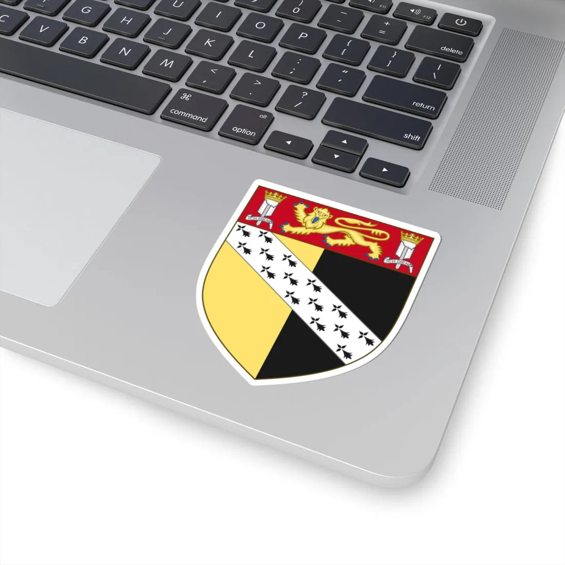 Arms of Norfolk County Council 1904 (England) (Coat of Arms) STICKER Vinyl Kiss-Cut Decal - The Sticker Space