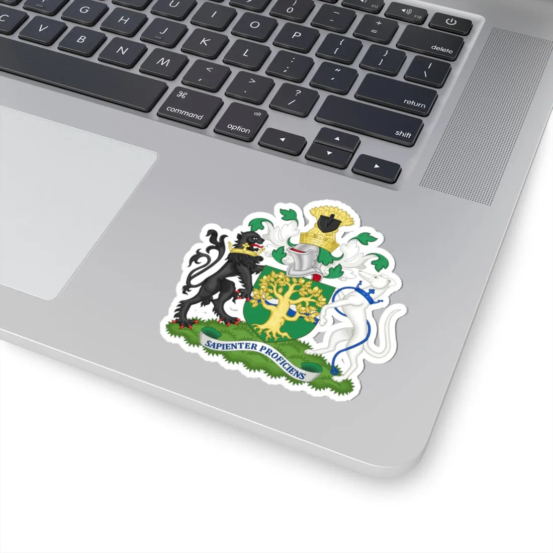 Arms of Nottinghamshire County Council (England) (Coat of Arms) STICKER Vinyl Kiss-Cut Decal - The Sticker Space