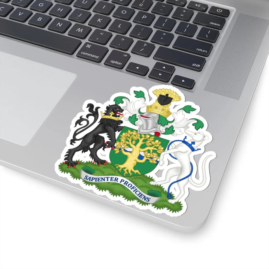 Arms of Nottinghamshire County Council (England) (Coat of Arms) STICKER Vinyl Kiss-Cut Decal - The Sticker Space