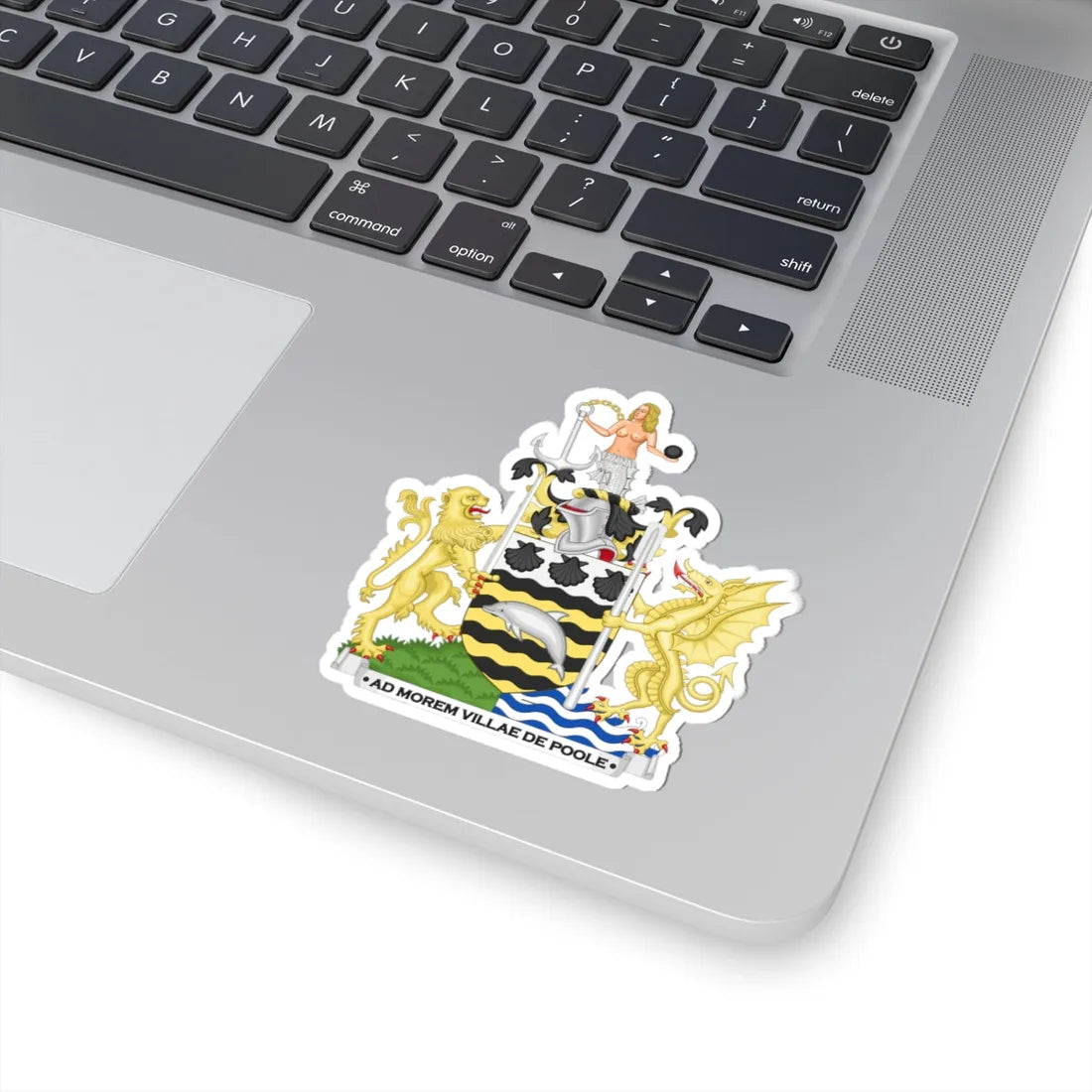 Arms of Poole Naturalistic Dolphin (England) (Coat of Arms) STICKER Vinyl Kiss-Cut Decal - The Sticker Space