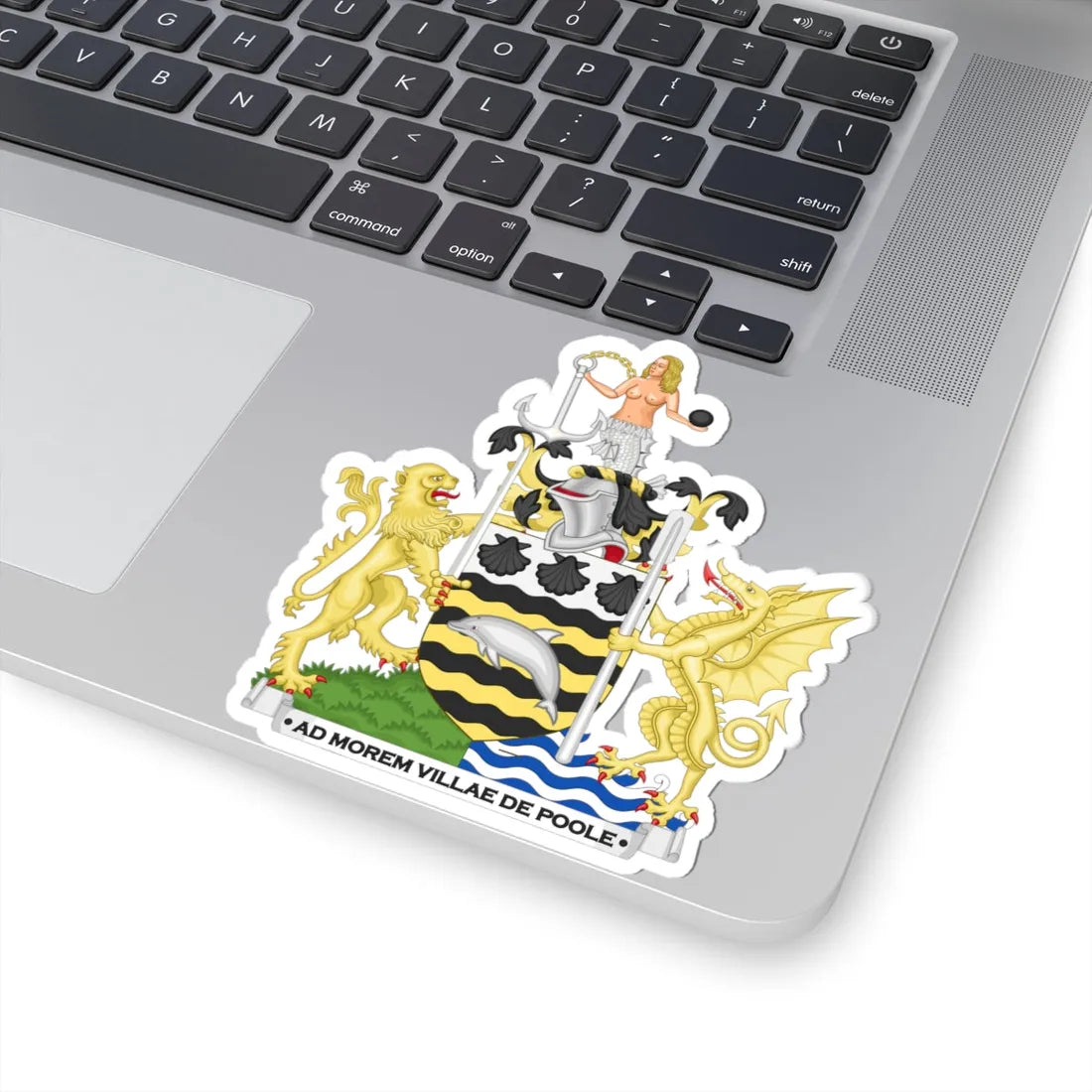 Arms of Poole Naturalistic Dolphin (England) (Coat of Arms) STICKER Vinyl Kiss-Cut Decal - The Sticker Space