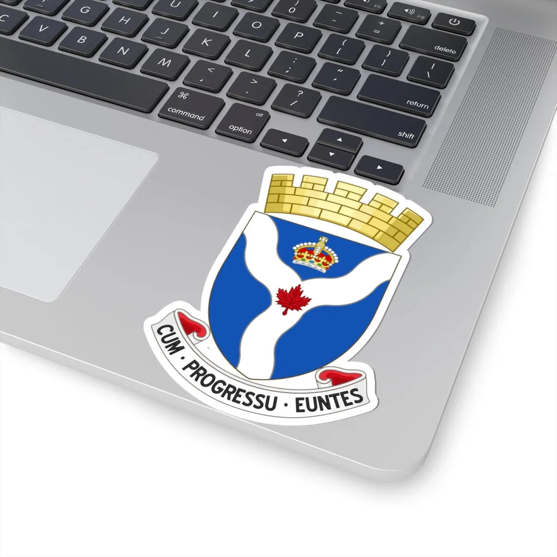 Arms of the Regional Municipality of Ottawa-Carleton (Canada) (Coat of Arms) STICKER Vinyl Kiss-Cut Decal - The Sticker Space