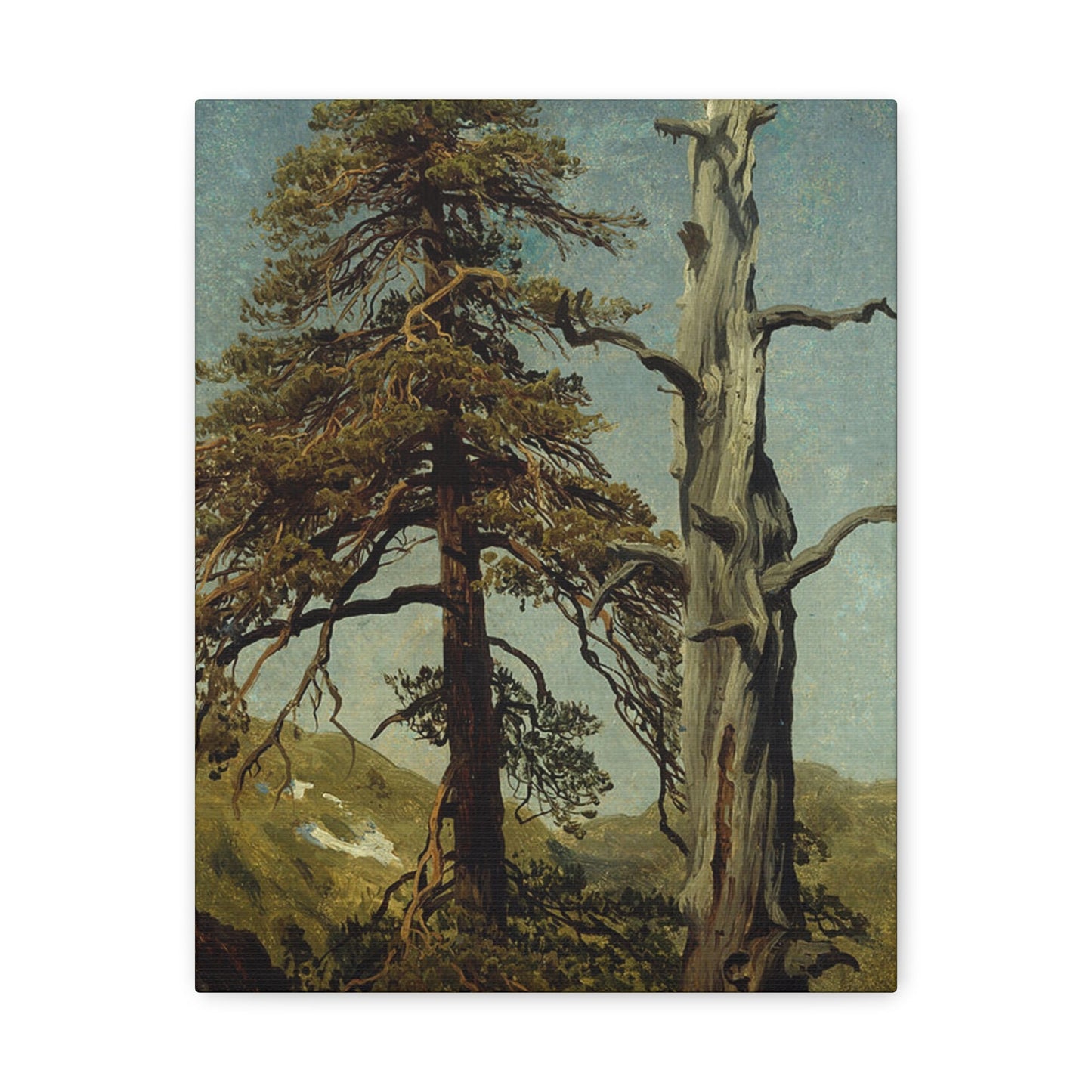 August Cappelen (1827-1852) Study of Trees 1850 low - Canvas Wall Art-11″ x 14″-The Sticker Space