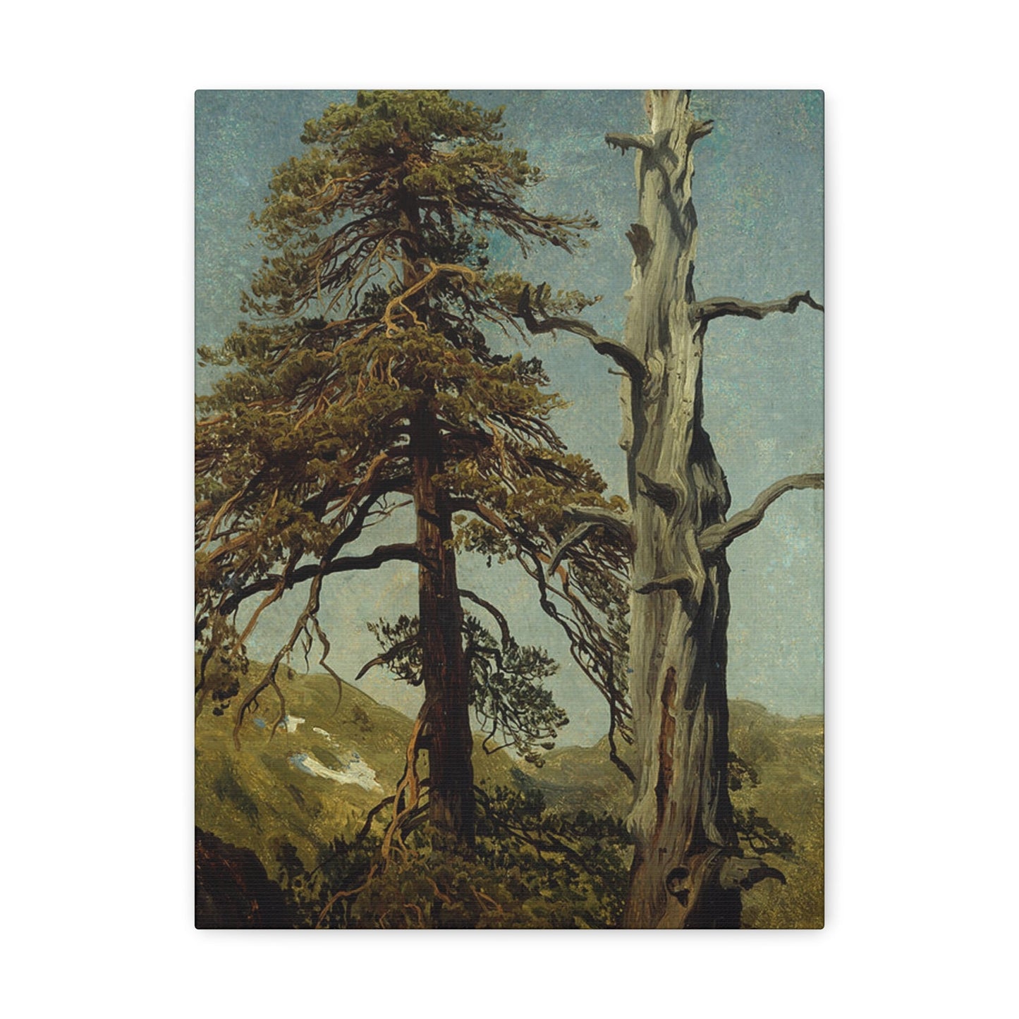 August Cappelen (1827-1852) Study of Trees 1850 low - Canvas Wall Art-12″ x 16″-The Sticker Space