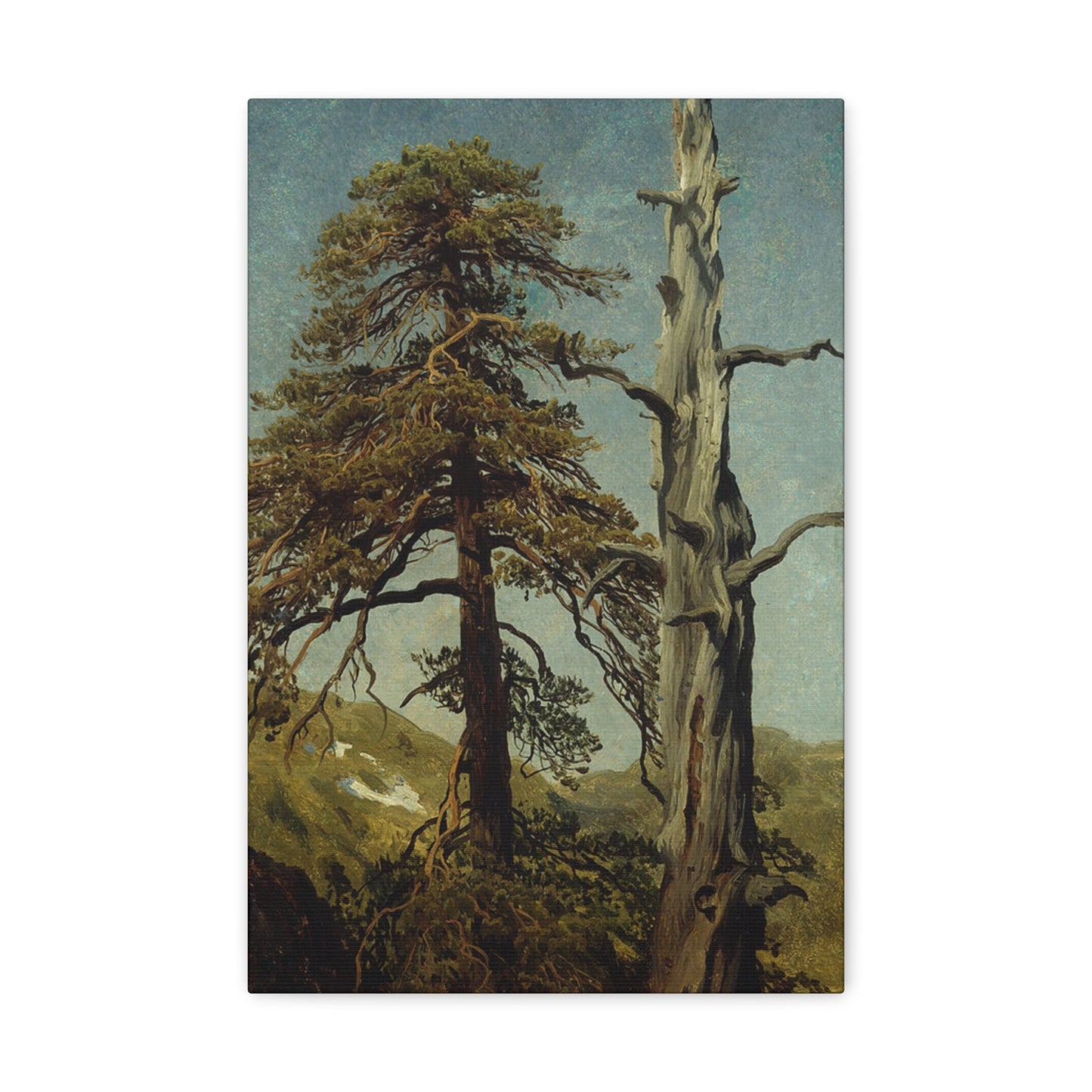 August Cappelen (1827-1852) Study of Trees 1850 low - Canvas Wall Art-12" x 18"-The Sticker Space