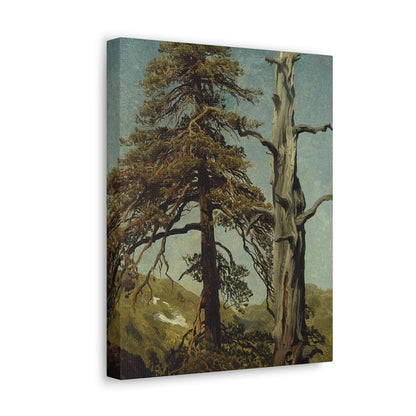 August Cappelen (1827-1852) Study of Trees 1850 low - Canvas Wall Art-The Sticker Space