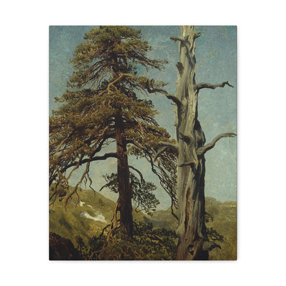 August Cappelen (1827-1852) Study of Trees 1850 low - Canvas Wall Art-16″ x 20″-The Sticker Space