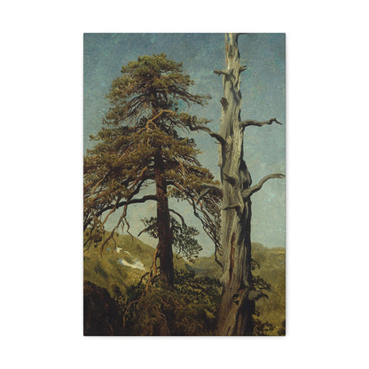 August Cappelen (1827-1852) Study of Trees 1850 low - Canvas Wall Art-16″ x 24″-The Sticker Space