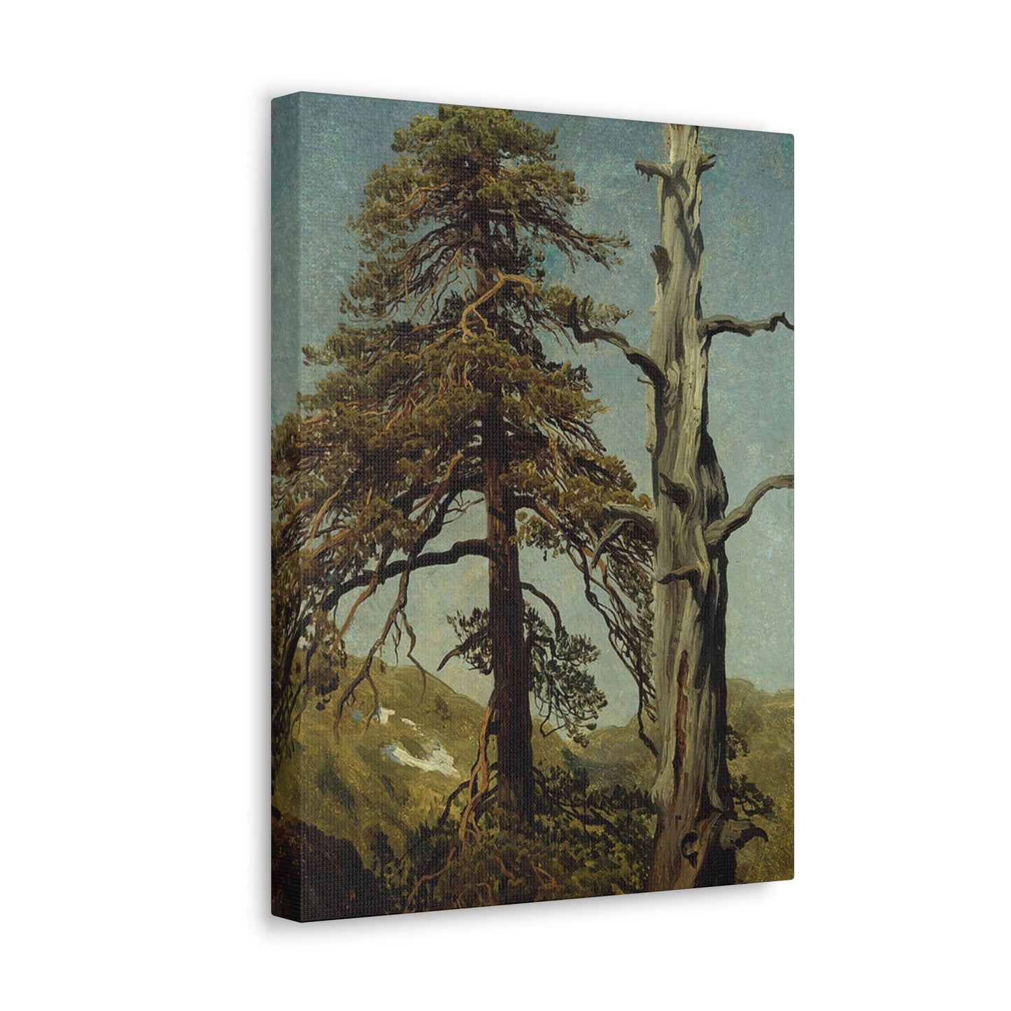 August Cappelen (1827-1852) Study of Trees 1850 low - Canvas Wall Art-The Sticker Space