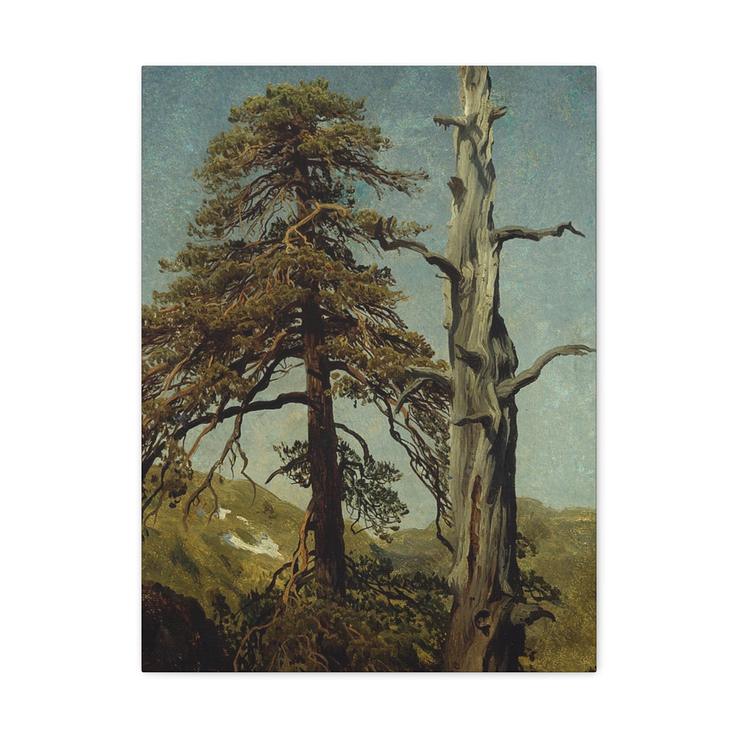 August Cappelen (1827-1852) Study of Trees 1850 low - Canvas Wall Art-18″ x 24″-The Sticker Space