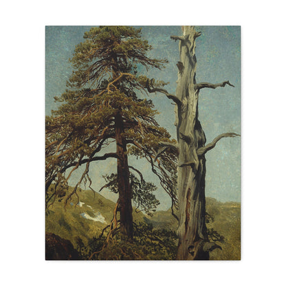 August Cappelen (1827-1852) Study of Trees 1850 low - Canvas Wall Art-20″ x 24″-The Sticker Space