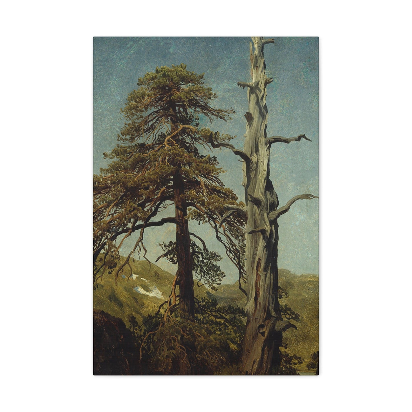 August Cappelen (1827-1852) Study of Trees 1850 low - Canvas Wall Art-20″ x 30″-The Sticker Space