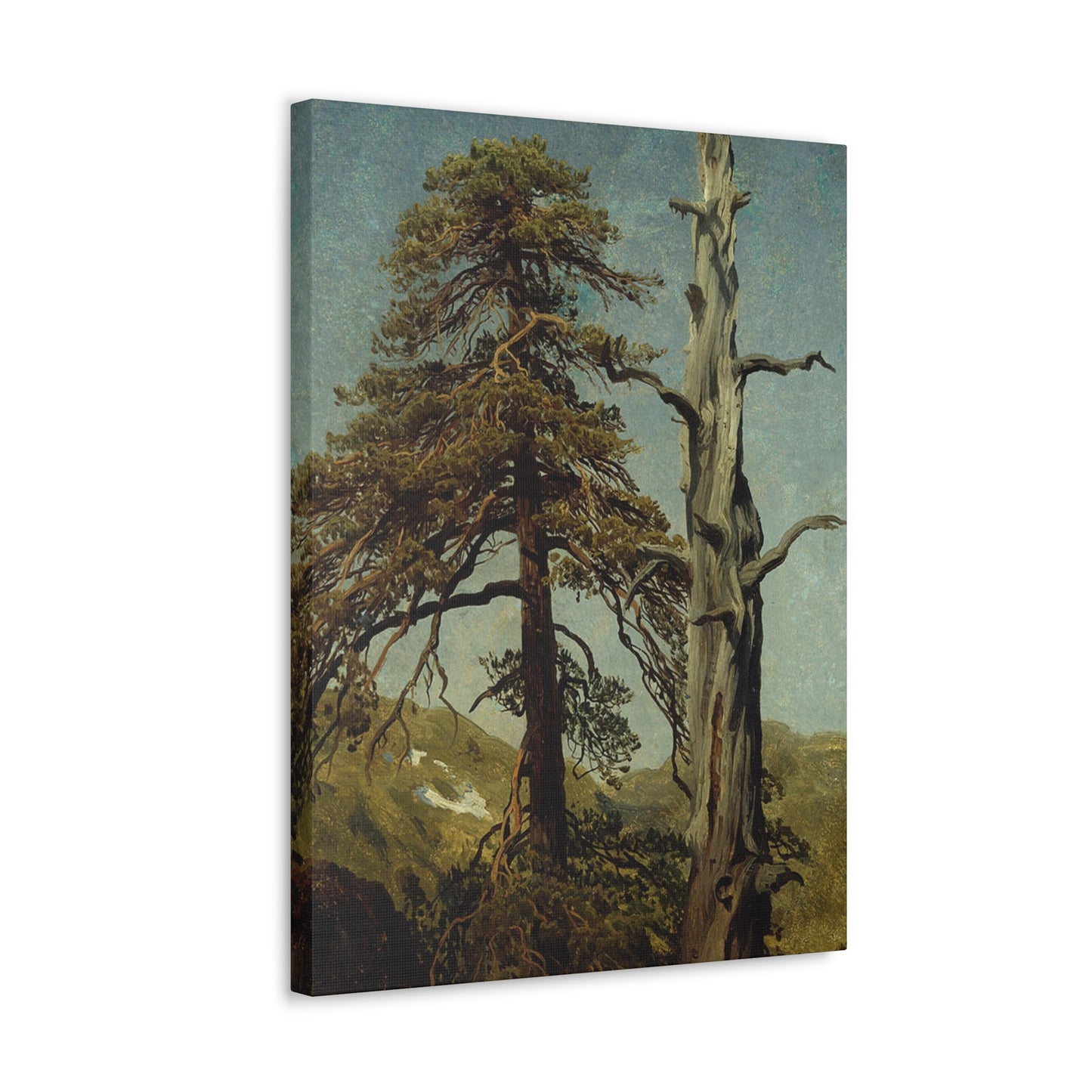 August Cappelen (1827-1852) Study of Trees 1850 low - Canvas Wall Art-The Sticker Space