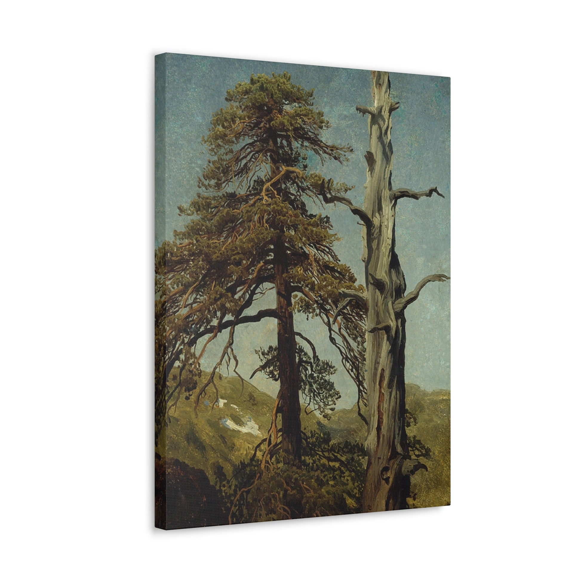 August Cappelen (1827-1852) Study of Trees 1850 low - Canvas Wall Art-The Sticker Space