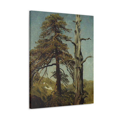 August Cappelen (1827-1852) Study of Trees 1850 low - Canvas Wall Art-The Sticker Space