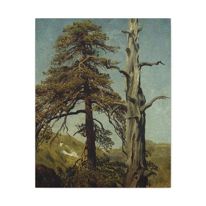 August Cappelen (1827-1852) Study of Trees 1850 low - Canvas Wall Art-24″ x 30″-The Sticker Space