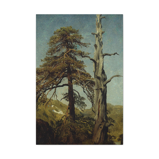 August Cappelen (1827-1852) Study of Trees 1850 low - Canvas Wall Art-24″ x 36″-The Sticker Space