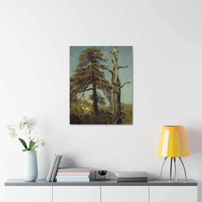 August Cappelen (1827-1852) Study of Trees 1850 low - Canvas Wall Art-The Sticker Space