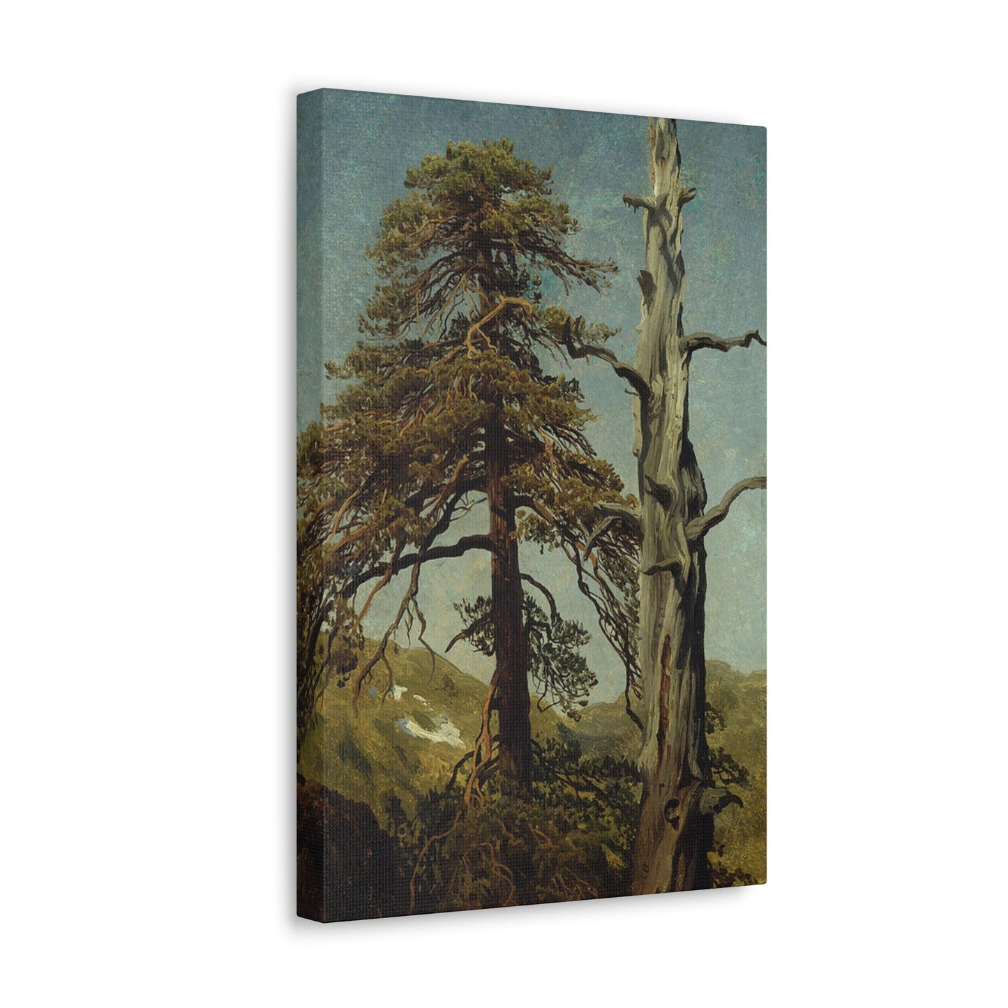 August Cappelen (1827-1852) Study of Trees 1850 low - Canvas Wall Art-The Sticker Space