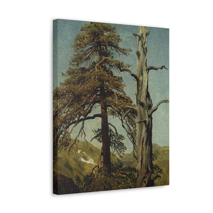 August Cappelen (1827-1852) Study of Trees 1850 low - Canvas Wall Art-The Sticker Space