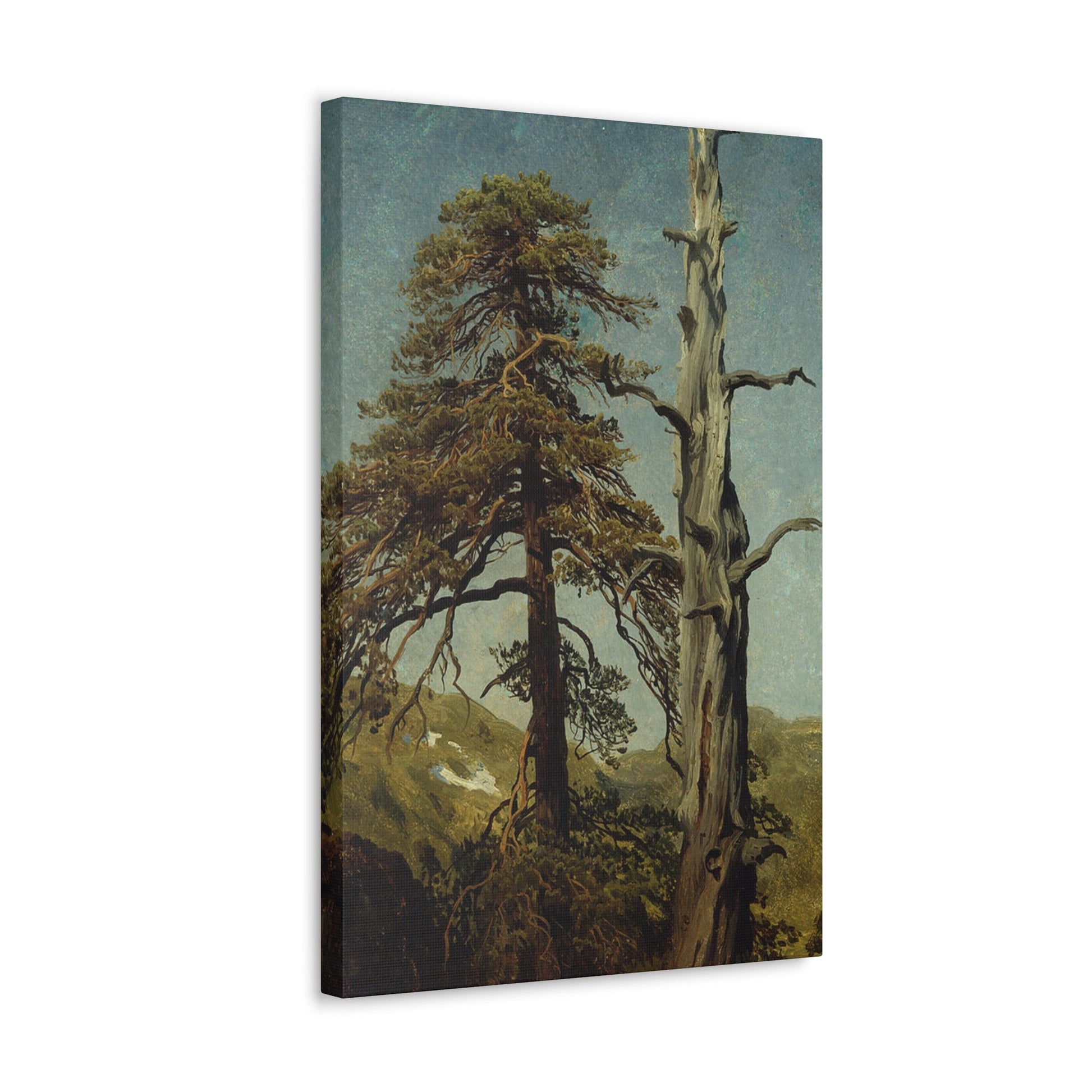 August Cappelen (1827-1852) Study of Trees 1850 low - Canvas Wall Art-The Sticker Space