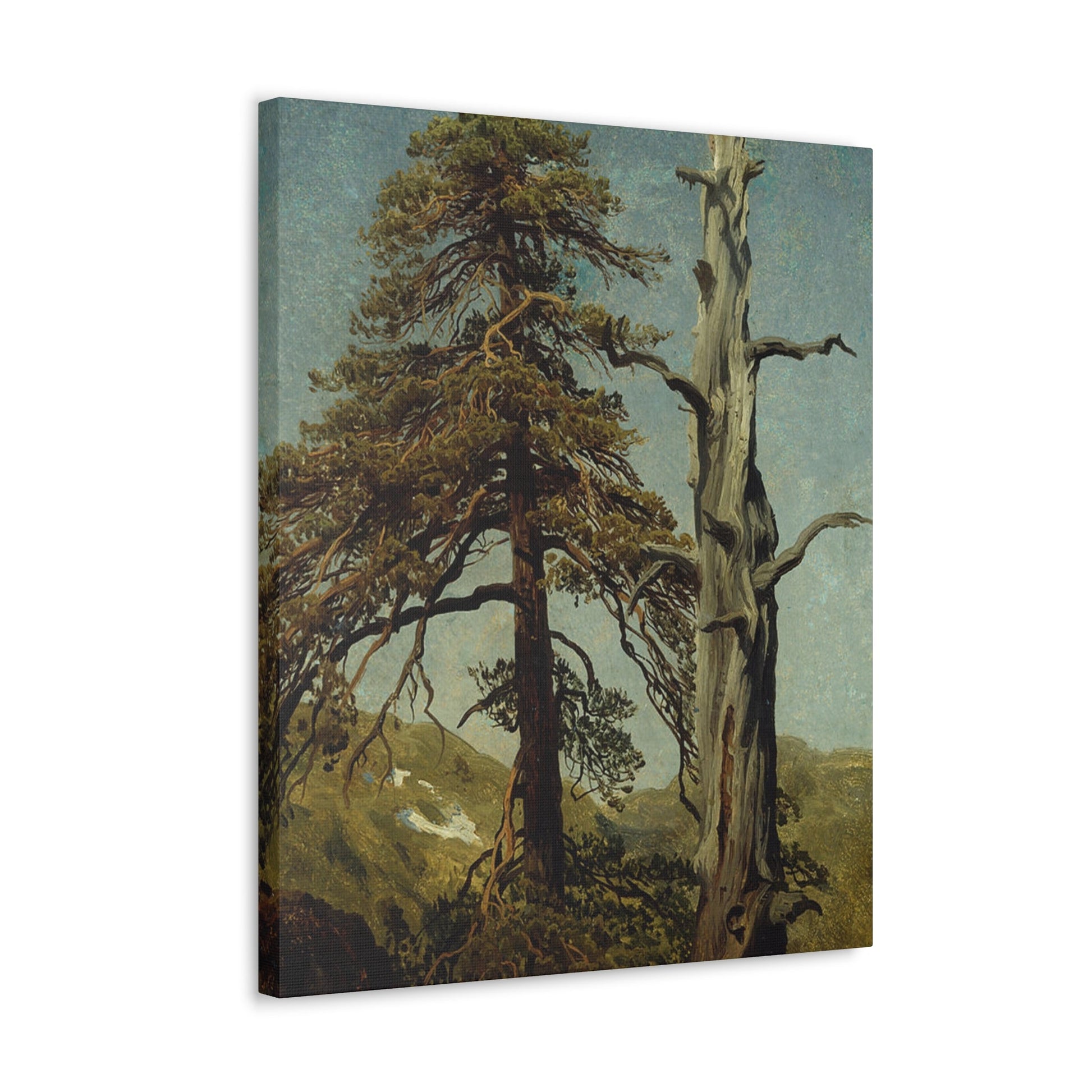 August Cappelen (1827-1852) Study of Trees 1850 low - Canvas Wall Art-The Sticker Space