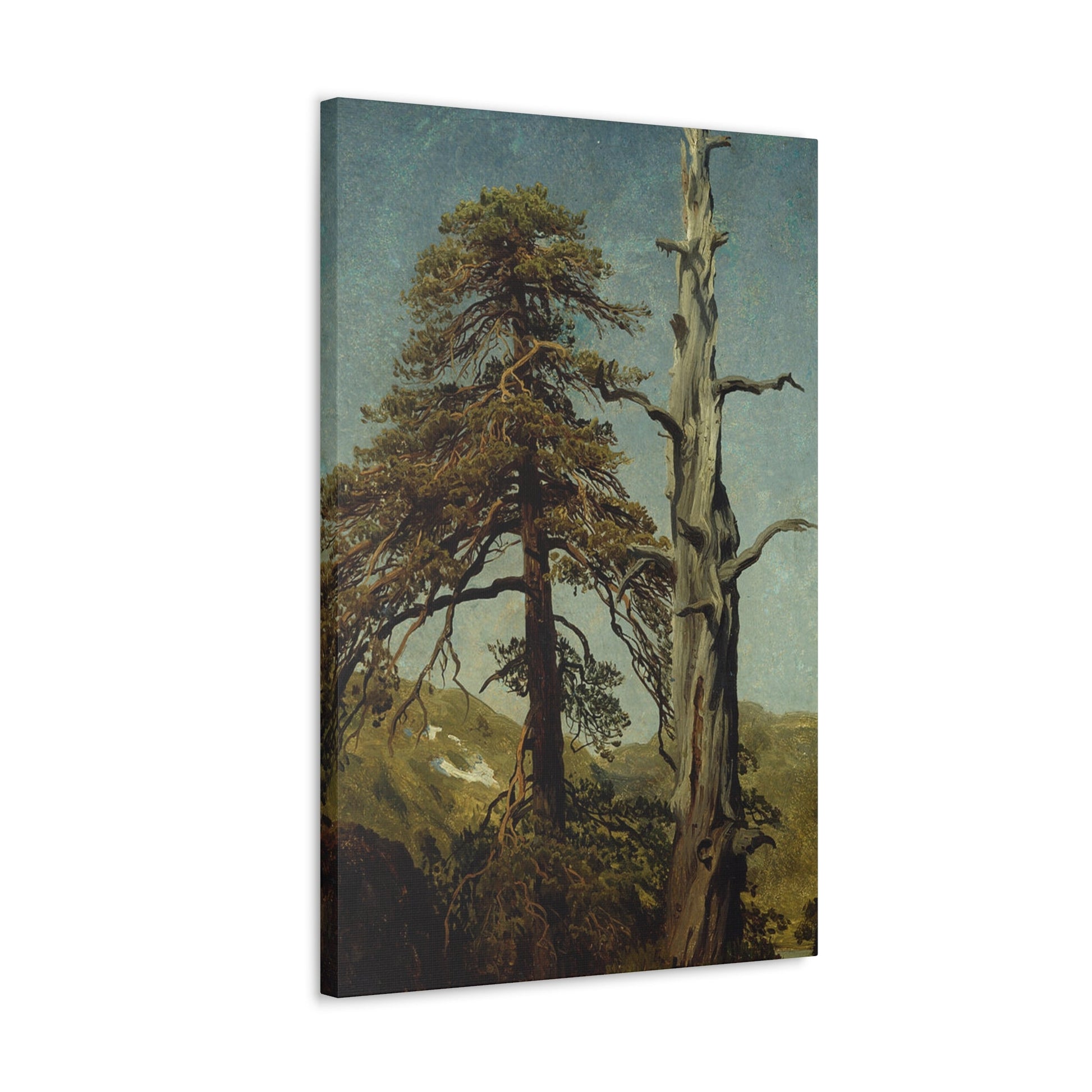 August Cappelen (1827-1852) Study of Trees 1850 low - Canvas Wall Art-The Sticker Space