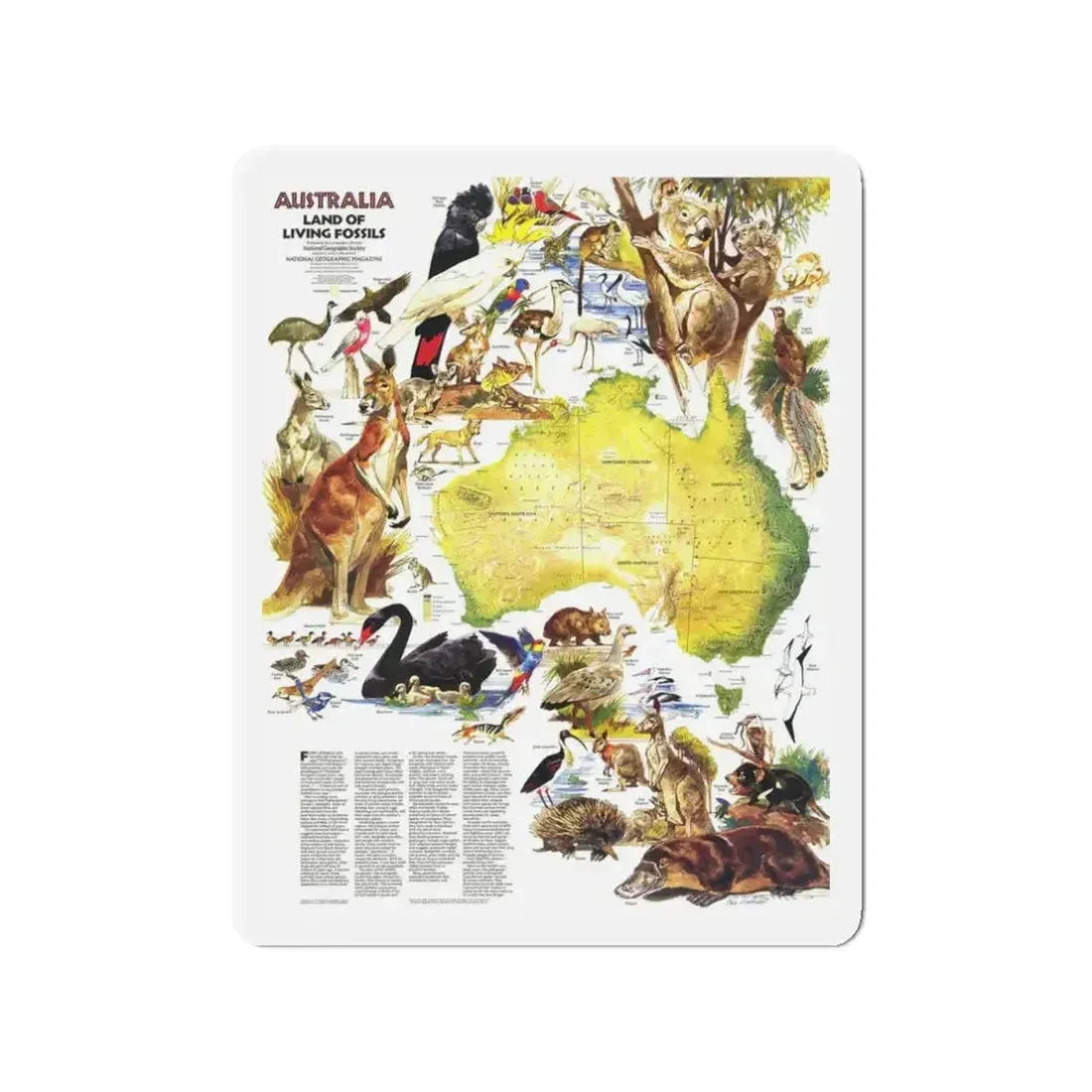 Australia- Land of Living Fossils (1979) (Map) Refrigerator Magnet 3" x 3" Die-Cut 1 pc - The Sticker Space