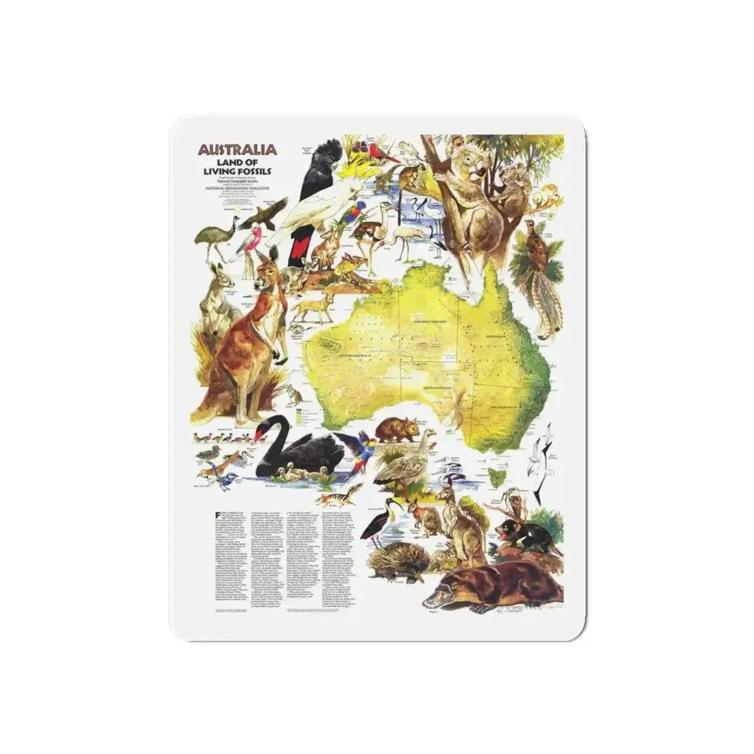 Australia- Land of Living Fossils (1979) (Map) Refrigerator Magnet 6 Inch Die-Cut 1 pc - The Sticker Space
