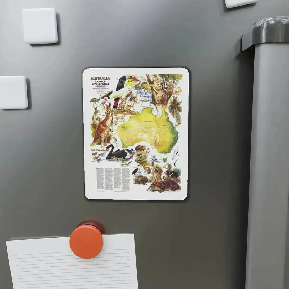 Australia- Land of Living Fossils (1979) (Map) Refrigerator Magnet - The Sticker Space