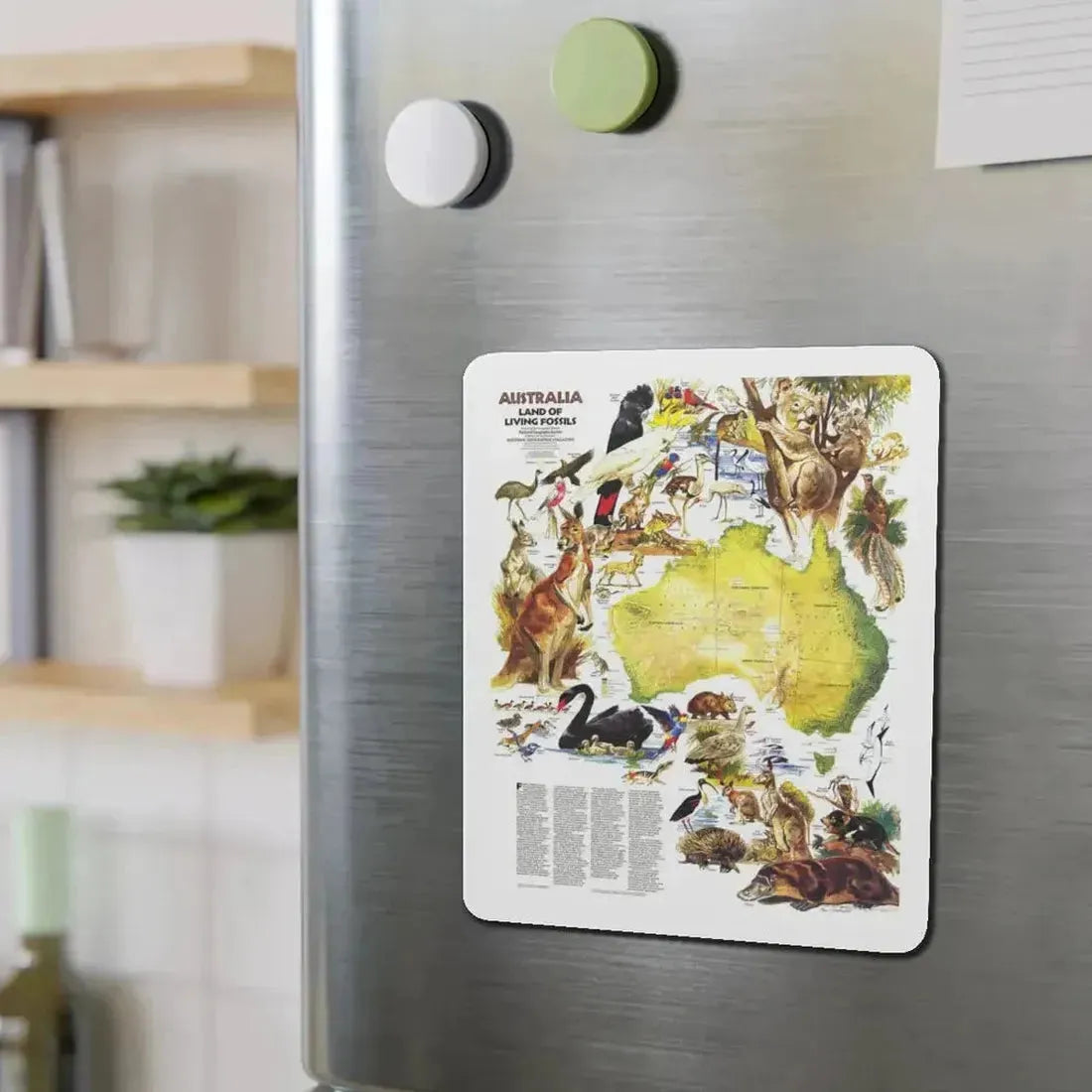 Australia- Land of Living Fossils (1979) (Map) Refrigerator Magnet - The Sticker Space