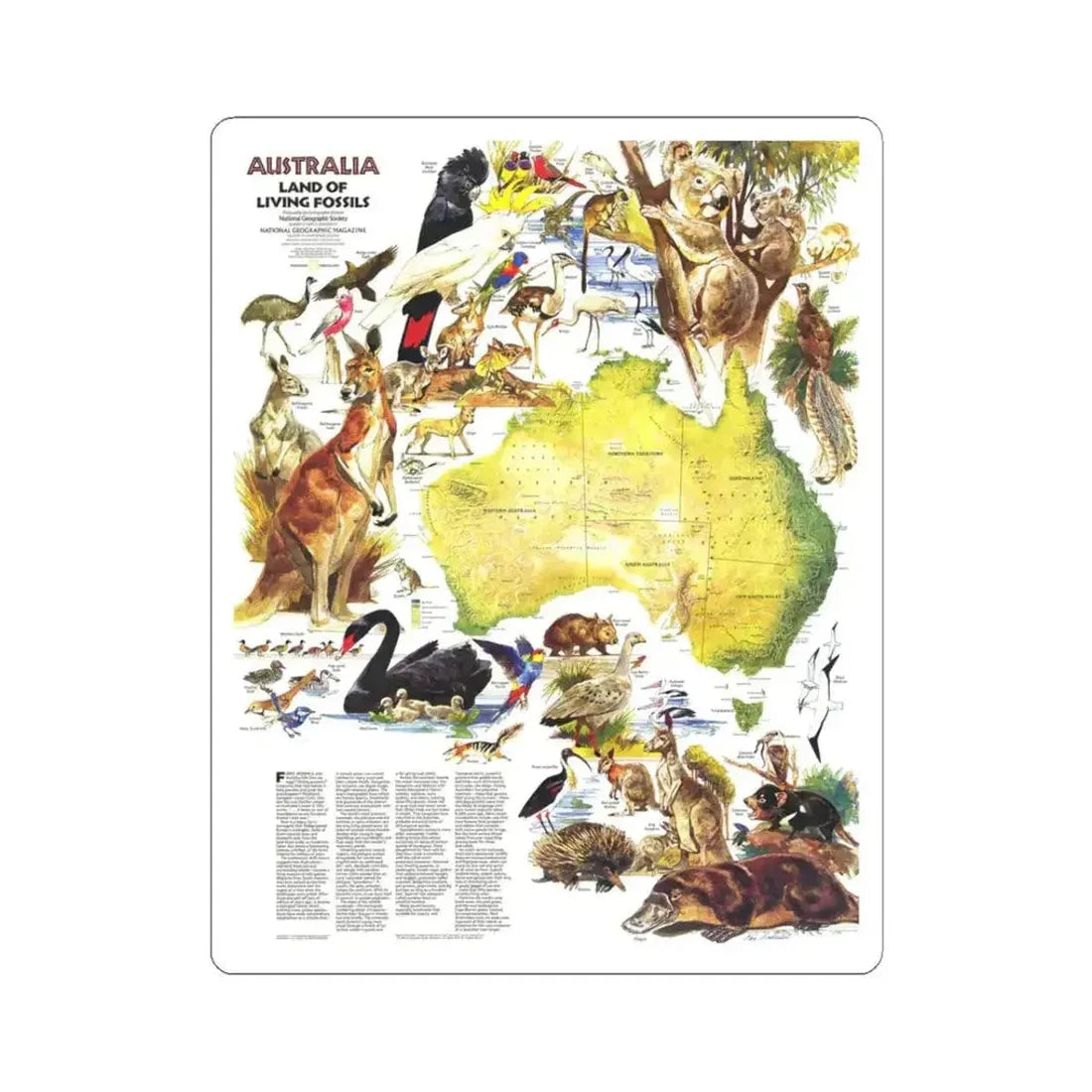 Australia- Land of Living Fossils (1979) (Map) STICKER Vinyl Kiss-Cut Decal 3 Inch White - The Sticker Space