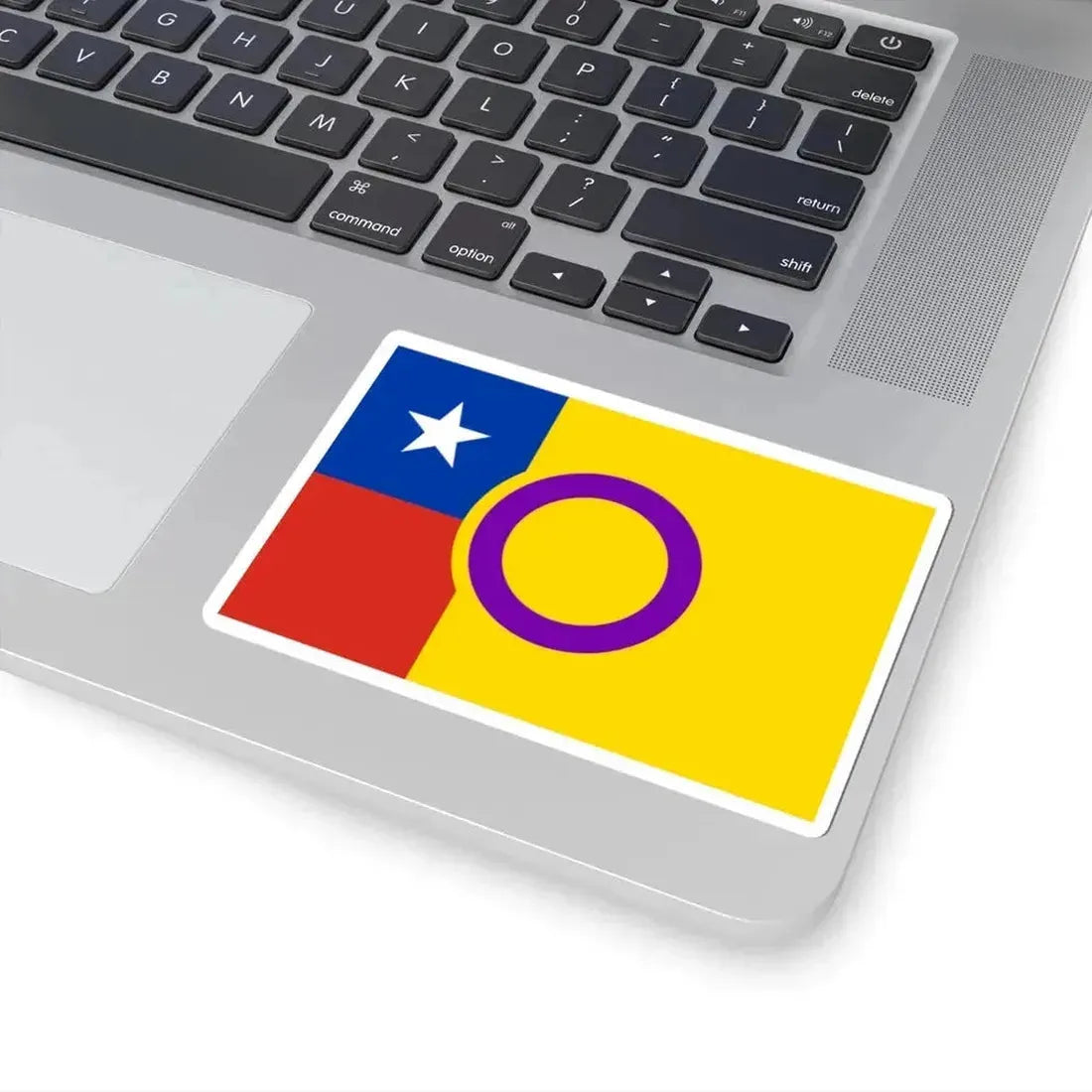 Bandera de Chile Intersexo (Chile) STICKER Vinyl Kiss-Cut Decal - The Sticker Space