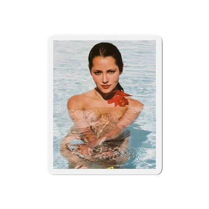 Barbara Carrera #116 (Vintage Female Icon) Refrigerator Magnet 6 Inch Die-Cut - The Sticker Space