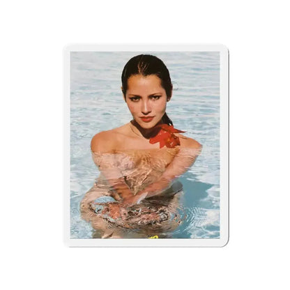 Barbara Carrera #116 (Vintage Female Icon) Refrigerator Magnet - The Sticker Space