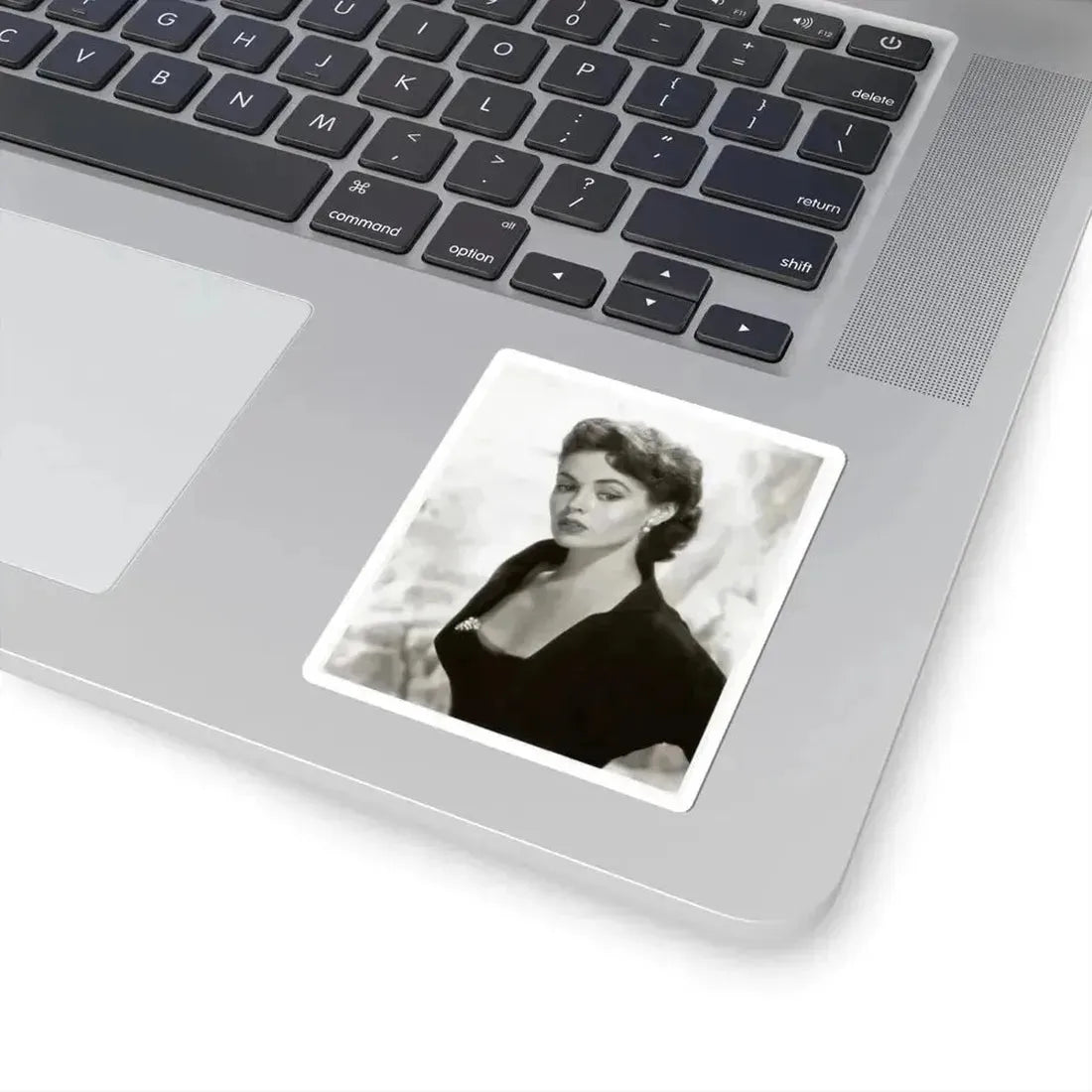 Barbara Darrow #06 (Vintage Female Icon) STICKER Vinyl Kiss-Cut Decal - The Sticker Space