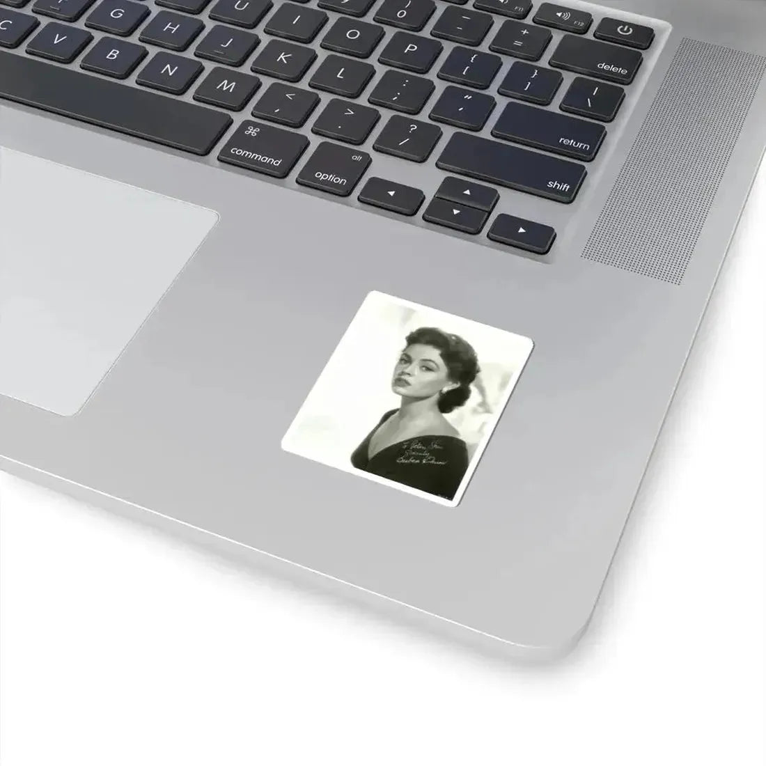 Barbara Darrow #08 (Vintage Female Icon) STICKER Vinyl Kiss-Cut Decal - The Sticker Space