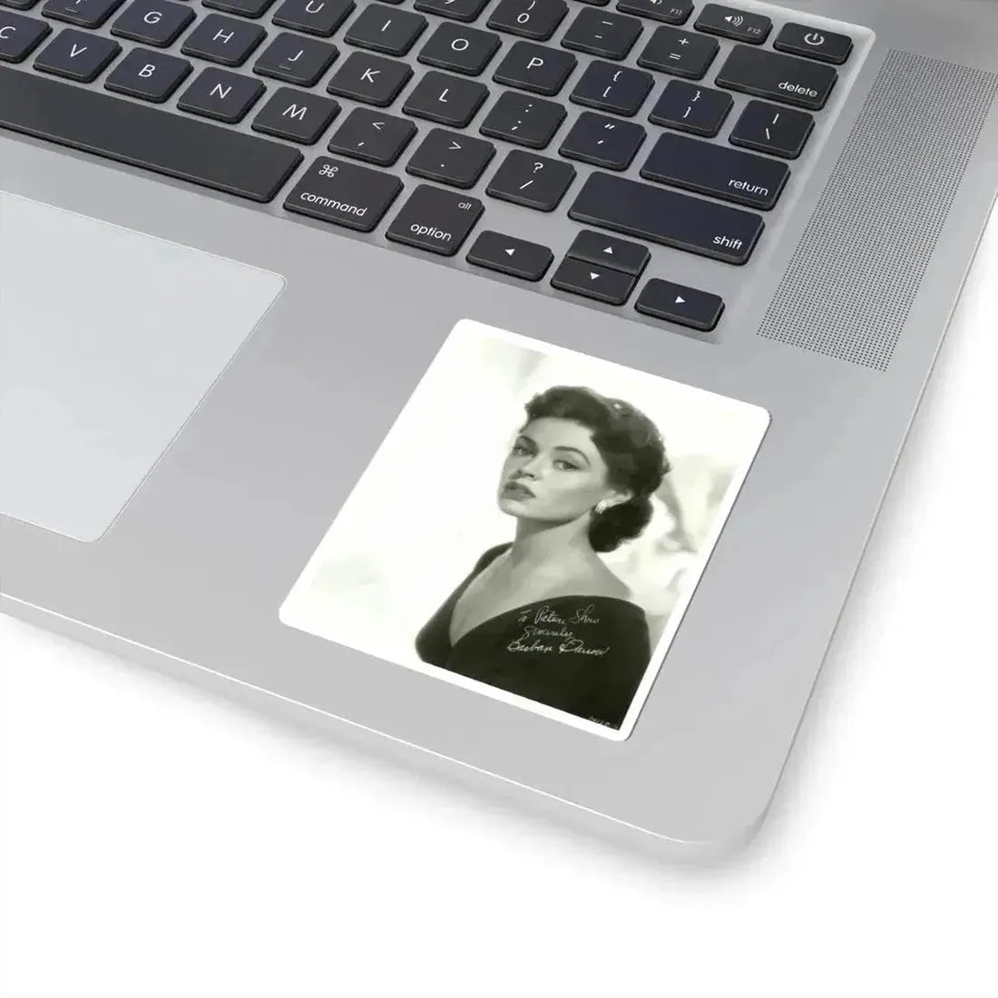 Barbara Darrow #08 (Vintage Female Icon) STICKER Vinyl Kiss-Cut Decal - The Sticker Space