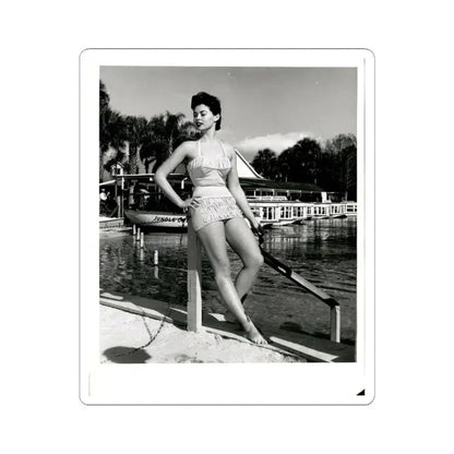 Barbara Darrow #47 (Vintage Female Icon) STICKER Vinyl Kiss-Cut Decal 3 Inch White - The Sticker Space