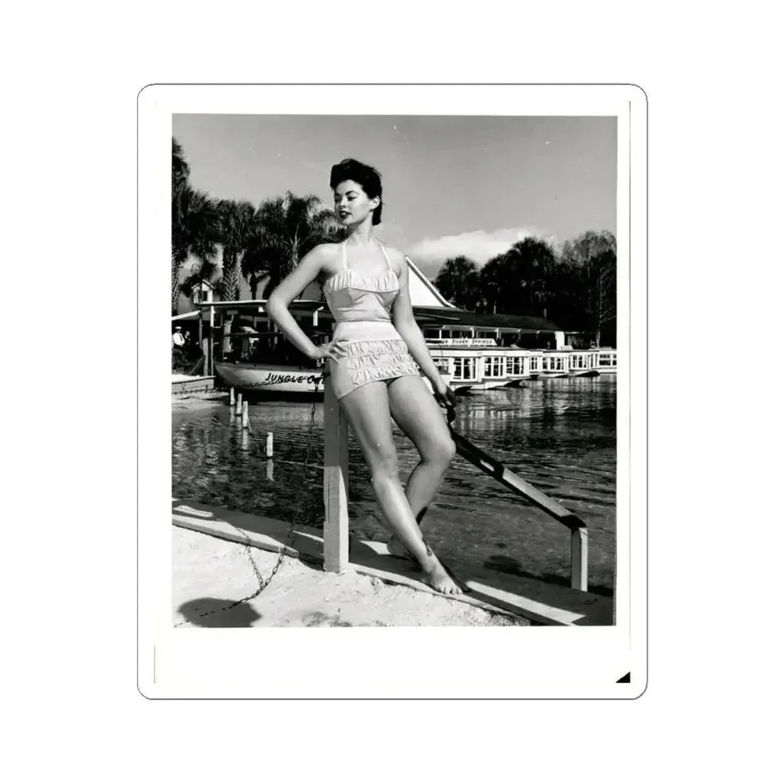 Barbara Darrow #47 (Vintage Female Icon) STICKER Vinyl Kiss-Cut Decal 4 Inch White - The Sticker Space