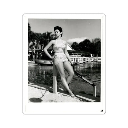 Barbara Darrow #47 (Vintage Female Icon) STICKER Vinyl Kiss-Cut Decal 4 Inch White - The Sticker Space