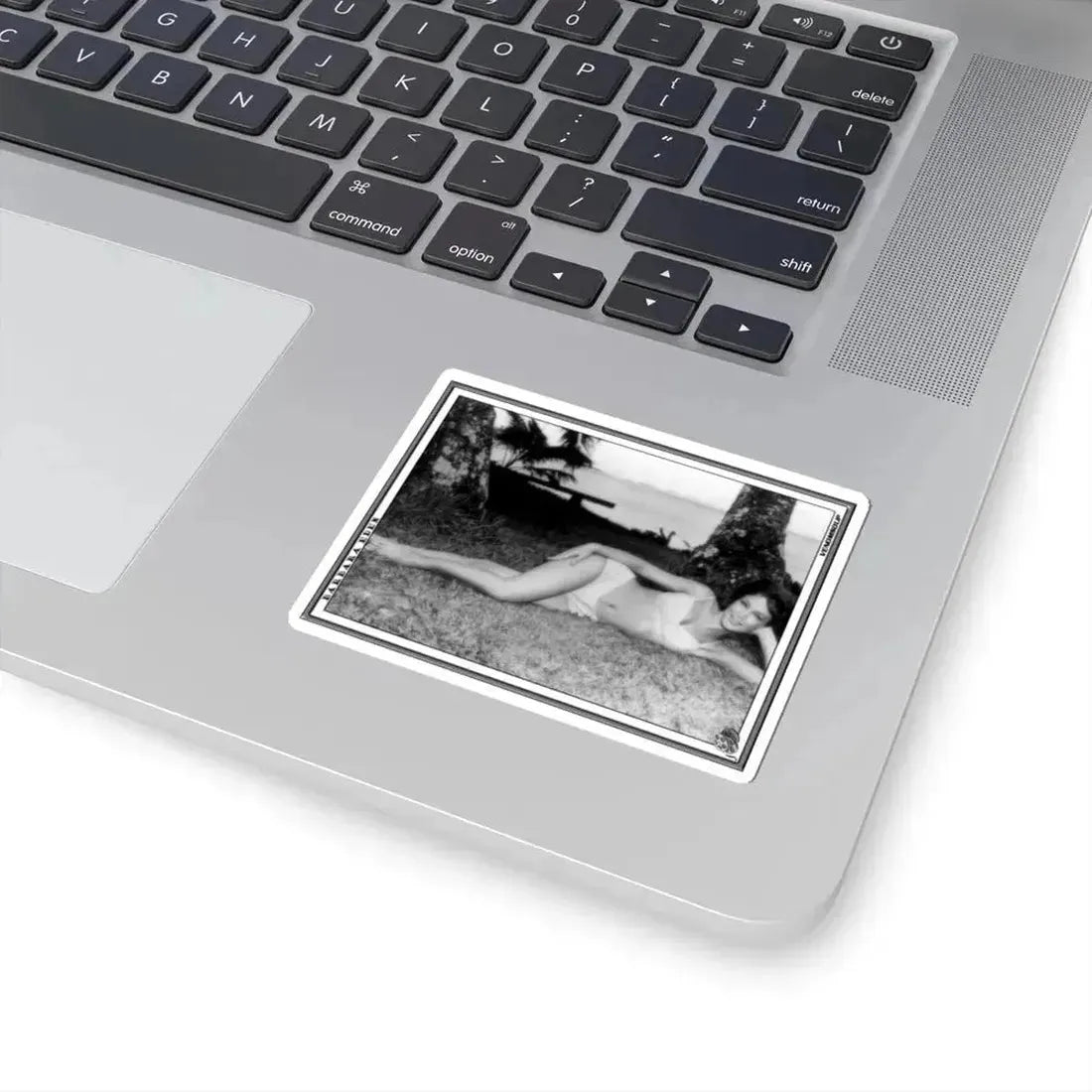 Barbara Eden #07 (Vintage Female Icon) STICKER Vinyl Kiss-Cut Decal - The Sticker Space